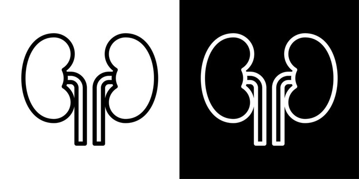 Kidney icon representing human renal system, kidney health, medical anatomy, diagnosis, treatment, and healthcare education.