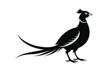 Pheasant bird black silhouette vector art