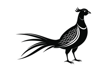 Pheasant bird black silhouette vector art