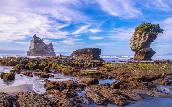 Motueka Beach Headland Tasman New Zealand Coast