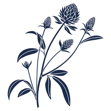 gomphrena flower vector of illustration