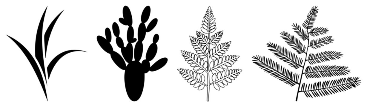 Four Botanical Silhouettes Featuring Grass, Cactus, Fern, and Pine Leaf
