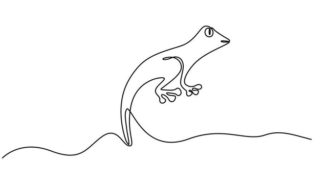 Gecko animation continuous one line drawing, Self drawing line animation lizard reptile continuous one single line drawn concept video, Animated self drawing of world lizard day video design pro.