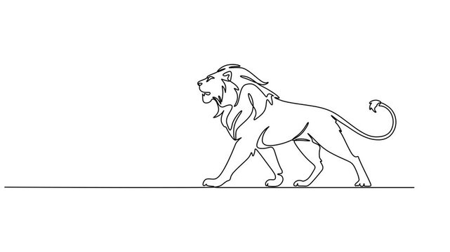 Abstract lion. Self drawing animation one continuous line draw, logo, Animated self drawing of single continuous line draw strong lion standing full body, king of the jungle, Full length one animation