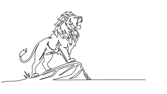 Abstract lion. Self drawing animation one continuous line draw, logo, Animated self drawing of single continuous line draw strong lion standing full body, king of the jungle, Full length one animation