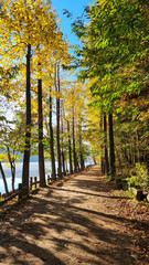 아름다운 가을 강변 길 