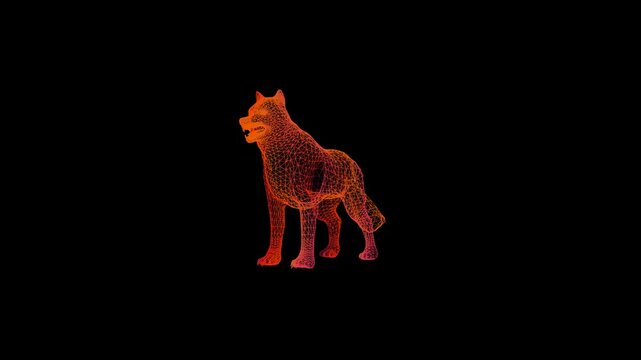 rotating wireframe wolf video