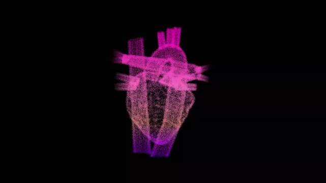 rotating wireframe heart video