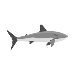 Naklejka premium vector drawing great white shark isolated at white background, hand drawn illustration