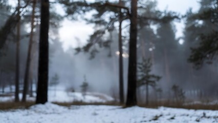 Serene misty winter forest scene with pine trees and snow on the