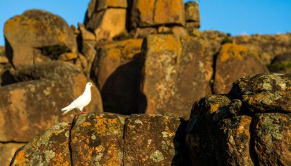 A pristine white bird, possibly a dove, perches on a lichen-covered rock formation against a clear blue sky