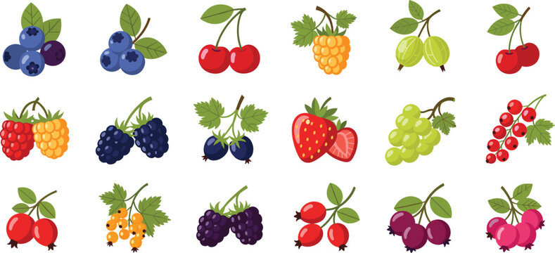Collection of assorted berries and fruits in vibrant colorful vector style featuring strawberries, cherries, grapes, currants, and more