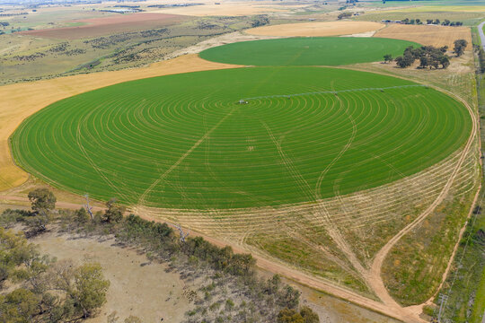 Aerial view of a long irrigation sprinkler revolving around a green circular crop