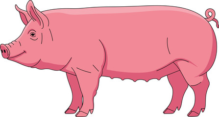 Fototapeta premium Pink farm pig illustrated in detailed side view, perfect for agriculture, livestock, farming, and animal-themed vector designs