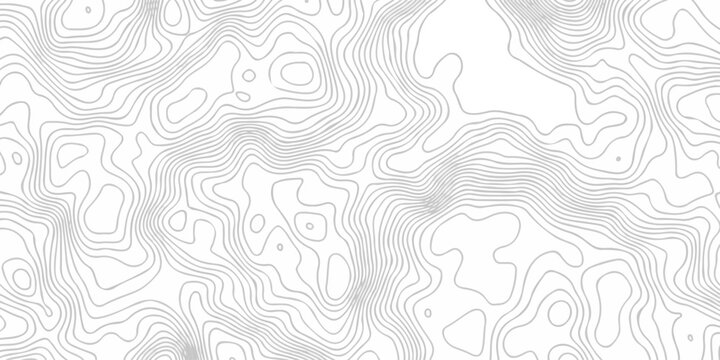 Abstract topography pattern seamless lines sea map modern design white background. Abstract digital topographic contour map concept space geometric strip grid line. Natural discovery of maps.