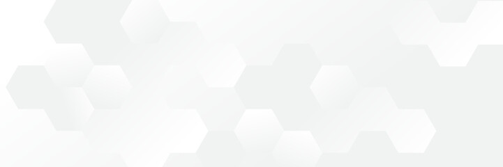 Fototapeta premium Abstract pattern white geometric banner design background.