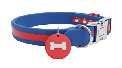 Blue and Red Dog Collar with Bone Tag