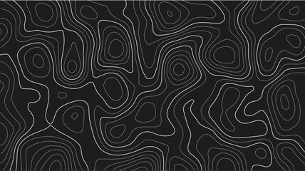 Fototapeta premium Topographic map patterns. topography line map.. Geographic abstract grid. Abstract vector illustration. Seamless Black Contour Map Vector with Smooth Elevation Lines, Nature Poster Background.