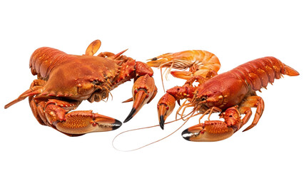 Cooked Red Crab, Lobster, and Shrimp Seafood Product Shot isolated PNG with Transparent Background