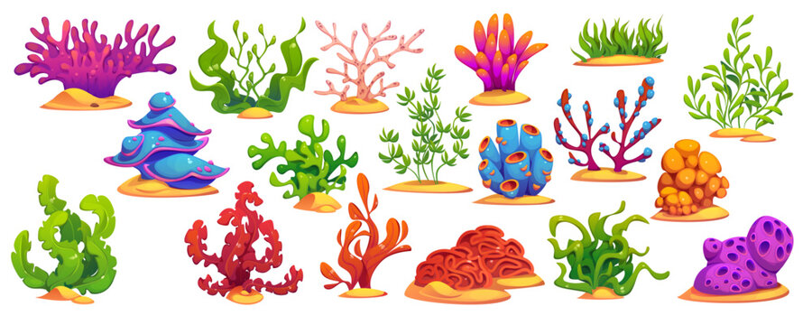 Underwater cartoon seaweed algae and coral reefs, vector sea and ocean water plants. Red and green aquarium flora and stony corals set with kelp, anemone and diploria, laminaria and rhodymenia algae