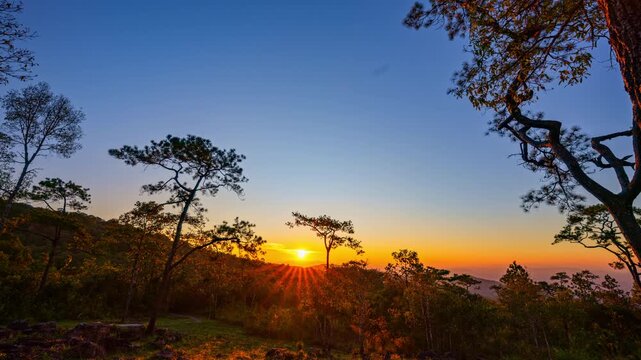 Time lapse A peaceful sunrise over the high mountains of Phu Ruea National Park, where soft golden light filters through tall pine trees, creating a calm and refreshing natural atmosphere.