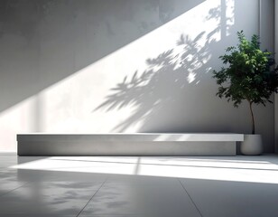 Modern, minimalist space. Sunlight streams across a textured wall, casting tree shadows. A clean, rectangular platform. A small indoor tree in a white pot