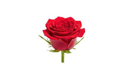 Fototapeta premium Vibrant Red Rose Bud with Green Stem isolated PNG with Transparent Background