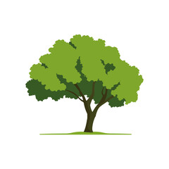 Vibrant Tree Illustration Lush Green Leaves on White