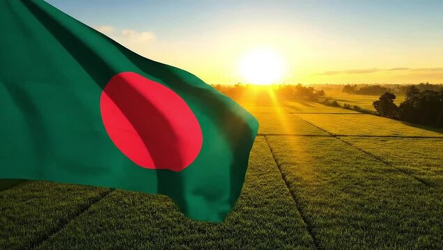 Flag of bangladesh waving in a serene field at sunset with green grass and trees