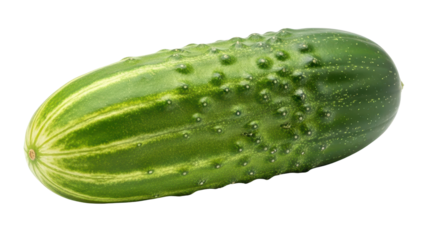 Fresh Green Cucumber with Bumpy Skin isolated PNG with Transparent Background