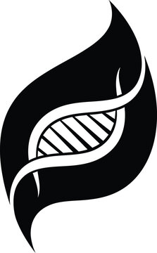 Minimalist DNA Double Helix Symbol inside a Black Flame Silhouette for Genetics Biotechnology and Science Logo Research Evolution Heredity Concept Art Isolated on White Background Illustration.