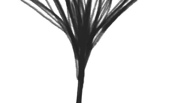A stripe extends from the bottom up, branching out upwards and imitating the root of a plant.