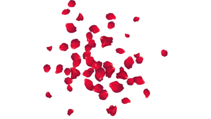 Romantic Floral Background with Scattered Red Rose Petals