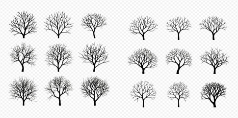 Set of black silhouettes of bare trees without leaves on a transparent background, vector illustration of winter trees. © MuammarAuliyan