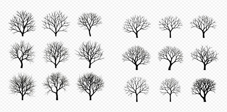 Set of black silhouettes of bare trees without leaves on a transparent background, vector illustration of winter trees.