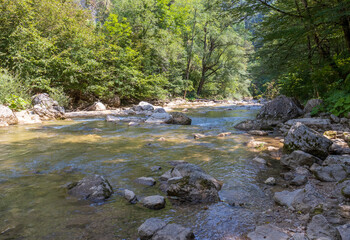 a mountain river with a rushing stream and waterfalls in the warm season in nature