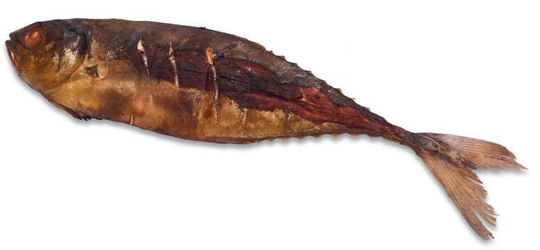 Smoked Whole Fish Isolated Minimal Style on White Background