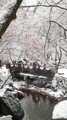 눈 내리는 겨울 계곡 풍경