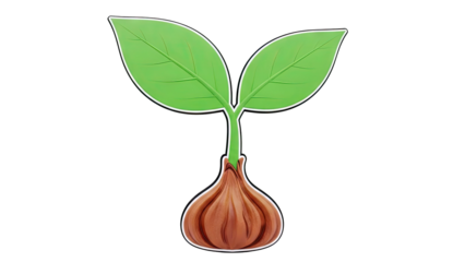 Sprout growing from a bulb