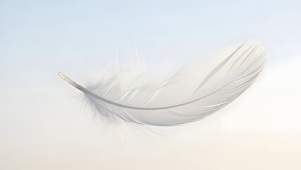 Obraz premium Delicate white feather floating gently in serene light blue atmosphere