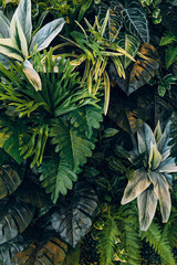 Creative nature green background, tropical leaf banner or floral jungle pattern concept.