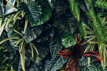 Creative nature green background, tropical leaf banner or floral jungle pattern concept.