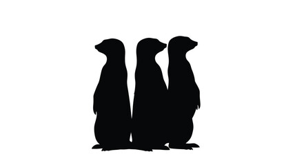 Three meerkats standing upright in a dark striking silhouette © inhrvect