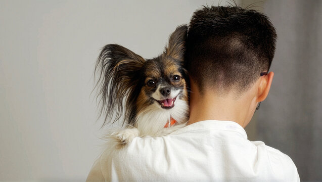 Happy small dog Papillon spaniel sitting on man&rsquo;s shoulder. Pet love, trust, companionship, animal care, emotional connection between human and dog.