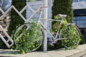 White vintage bicycle decorated with green foliage and a wooden crate used as a decorative planter. Eco friendly, sustainable design.