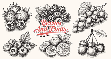 Berries and fruits drawing collection. Hand drawn berry and fruit sketch. Vector illustration. Engraved style. © bow