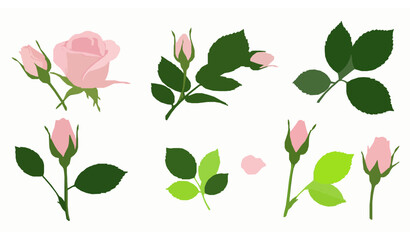 Fototapeta premium Set of pink rosebud decorative vector elements on white background