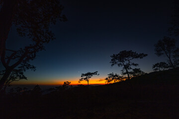 Warm morning light rises above the pine forest at Phu Ruea, revealing layered mountain silhouettes and a tranquil landscape untouched by modern life.
