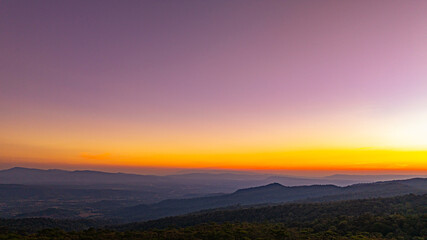 Serene Rural Horizon Beneath a Golden Sunset. Golden hues of dawn and dusk illuminate the pine...