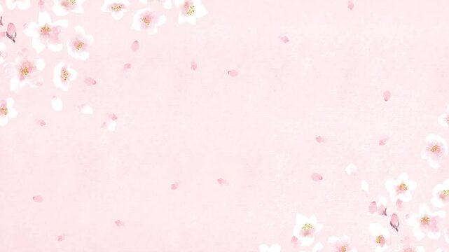 淡いピンクの和紙を背景に桜舞い散る春のフレーム背景素材　桜吹雪のアニメーション動画